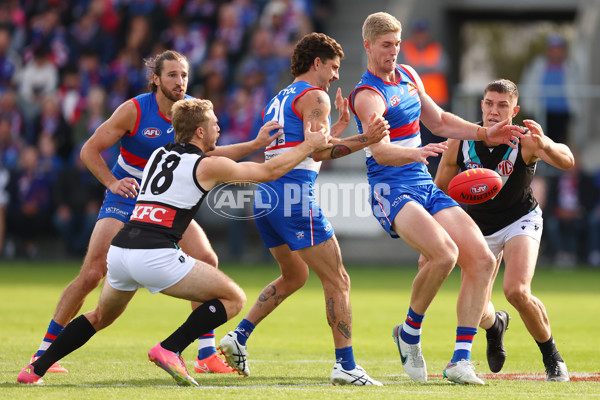 AFL 2025 Round 08 - Western Bulldogs v Port Adelaide - A-59146645