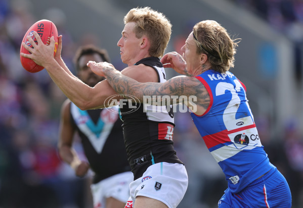 AFL 2025 Round 08 - Western Bulldogs v Port Adelaide - A-59146650