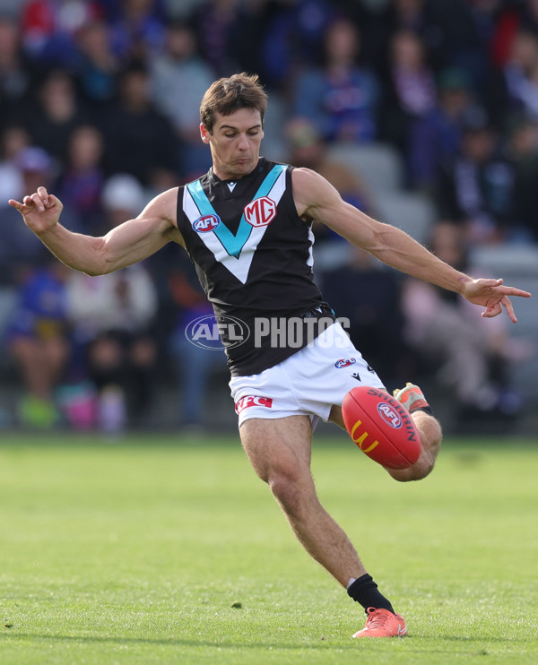 AFL 2025 Round 08 - Western Bulldogs v Port Adelaide - A-59146657
