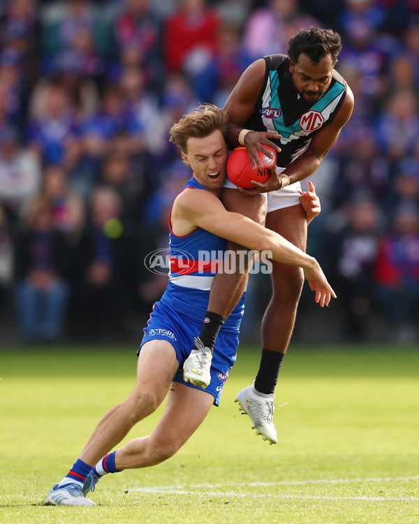 AFL 2025 Round 08 - Western Bulldogs v Port Adelaide - A-59146671