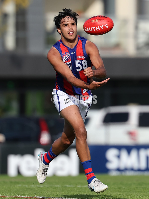 VFL 2025 Round 06 - Northern Bullants v Port Melbourne - A-59146675