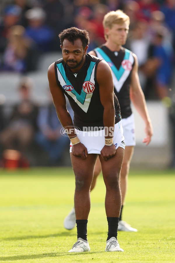 AFL 2025 Round 08 - Western Bulldogs v Port Adelaide - A-59146677