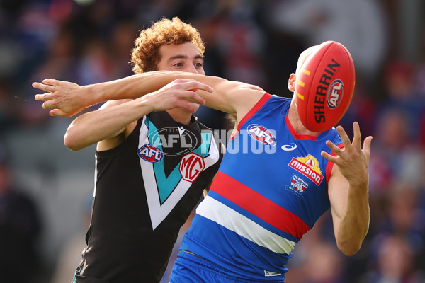AFL 2025 Round 08 - Western Bulldogs v Port Adelaide - A-59146699