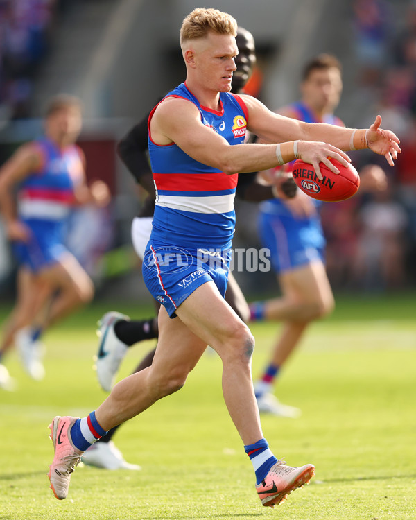 AFL 2025 Round 08 - Western Bulldogs v Port Adelaide - A-59146701