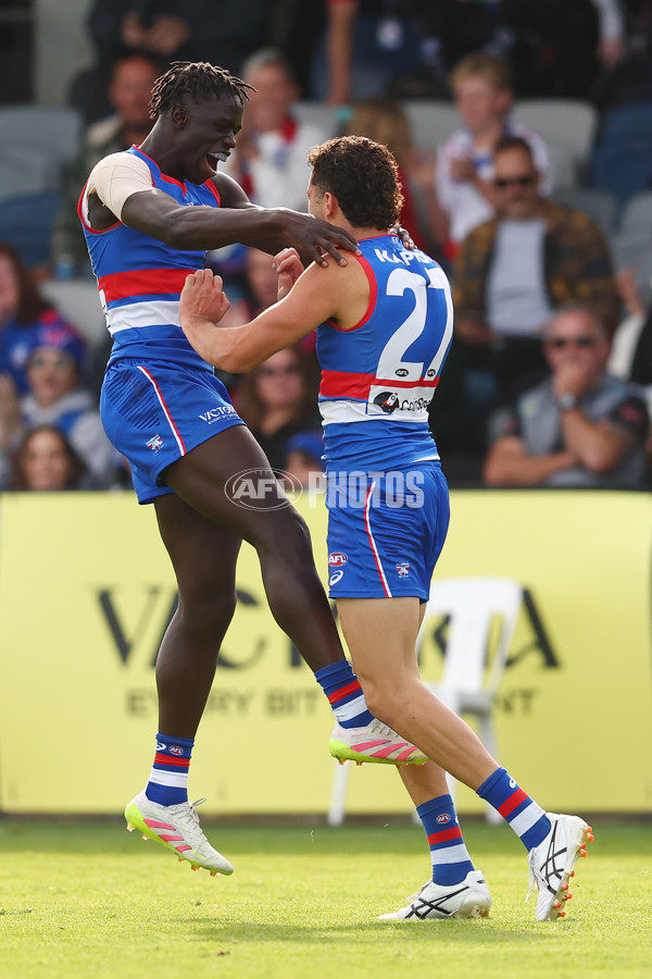 AFL 2025 Round 08 - Western Bulldogs v Port Adelaide - A-59146702