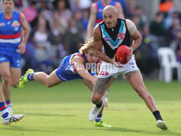 AFL 2025 Round 08 - Western Bulldogs v Port Adelaide - A-59148234