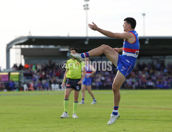 AFL 2025 Round 08 - Western Bulldogs v Port Adelaide - A-59148247