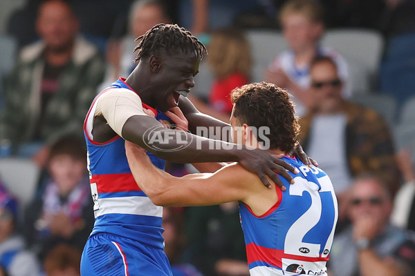 AFL 2025 Round 08 - Western Bulldogs v Port Adelaide - A-59148256