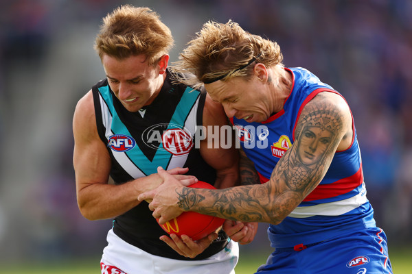 AFL 2025 Round 08 - Western Bulldogs v Port Adelaide - A-59148270