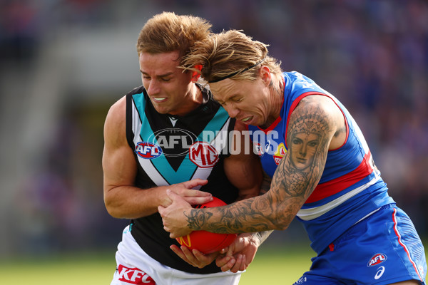 AFL 2025 Round 08 - Western Bulldogs v Port Adelaide - A-59148271