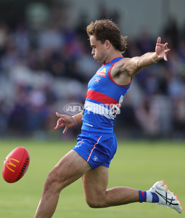 AFL 2025 Round 08 - Western Bulldogs v Port Adelaide - A-59148276