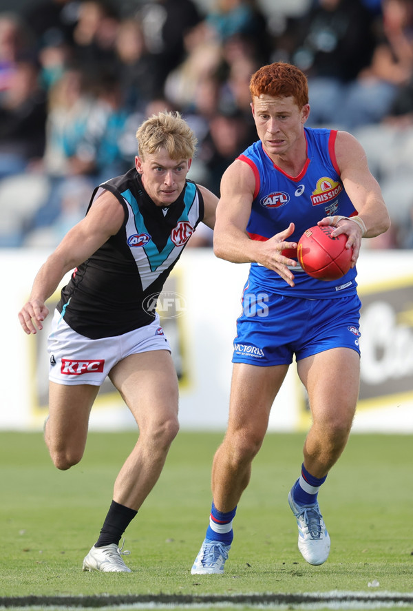 AFL 2025 Round 08 - Western Bulldogs v Port Adelaide - A-59148287