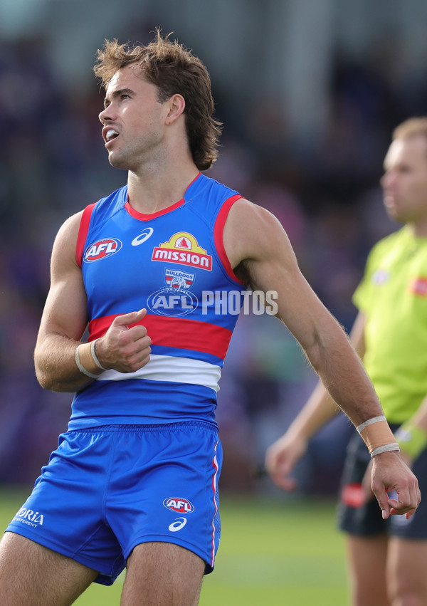 AFL 2025 Round 08 - Western Bulldogs v Port Adelaide - A-59149246