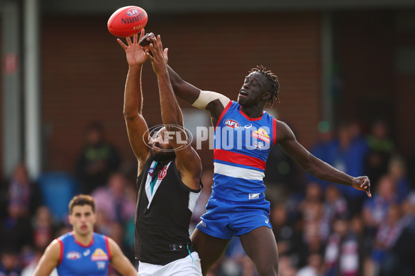 AFL 2025 Round 08 - Western Bulldogs v Port Adelaide - A-59149248