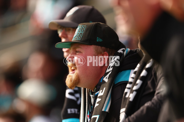 AFL 2025 Round 08 - Western Bulldogs v Port Adelaide - A-59149249