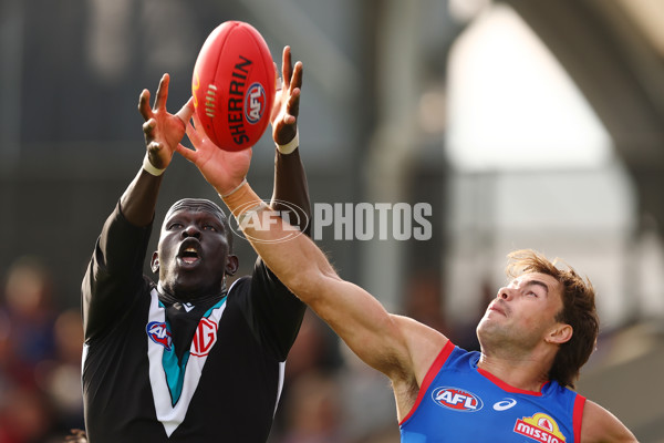AFL 2025 Round 08 - Western Bulldogs v Port Adelaide - A-59149251