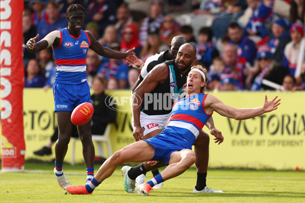 AFL 2025 Round 08 - Western Bulldogs v Port Adelaide - A-59149259