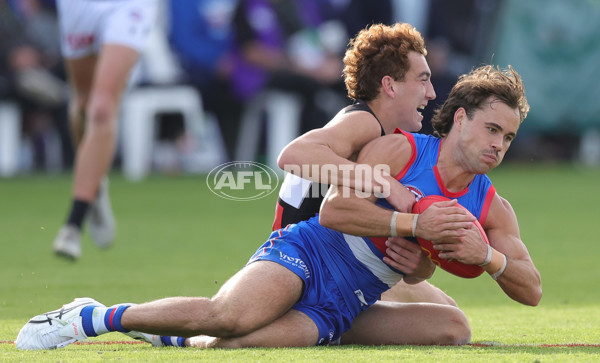 AFL 2025 Round 08 - Western Bulldogs v Port Adelaide - A-59149265