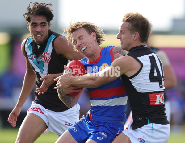 AFL 2025 Round 08 - Western Bulldogs v Port Adelaide - A-59149268