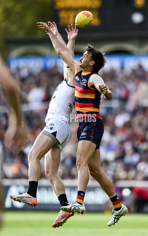 AFL 2025 Round 08 - Adelaide v Carlton - A-59149314