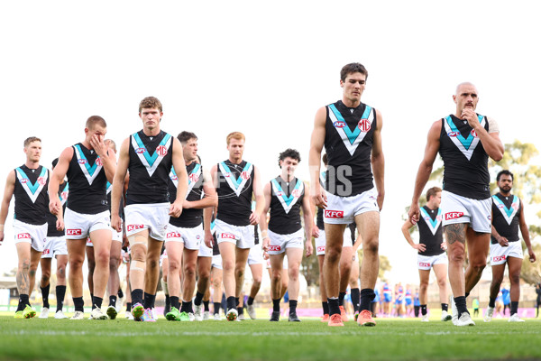 AFL 2025 Round 08 - Western Bulldogs v Port Adelaide - A-59149330