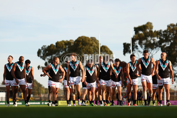 AFL 2025 Round 08 - Western Bulldogs v Port Adelaide - A-59149331