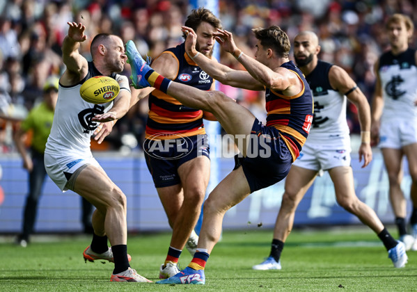 AFL 2025 Round 08 - Adelaide v Carlton - A-59150791