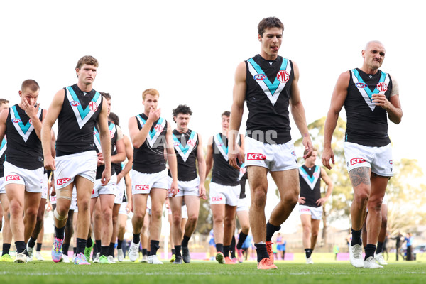 AFL 2025 Round 08 - Western Bulldogs v Port Adelaide - A-59150794