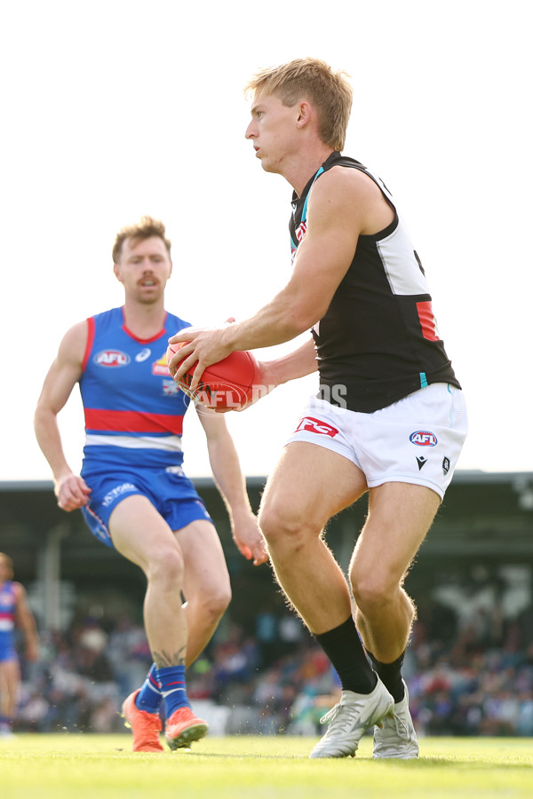 AFL 2025 Round 08 - Western Bulldogs v Port Adelaide - A-59150825