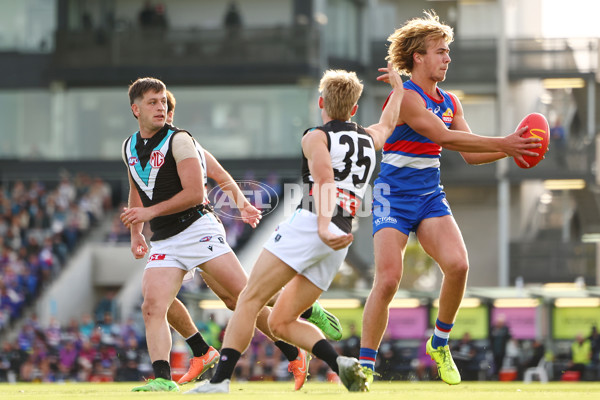 AFL 2025 Round 08 - Western Bulldogs v Port Adelaide - A-59151995