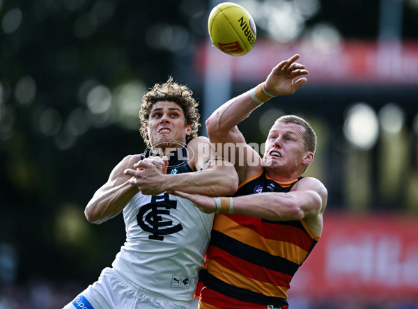 AFL 2025 Round 08 - Adelaide v Carlton - A-59152011