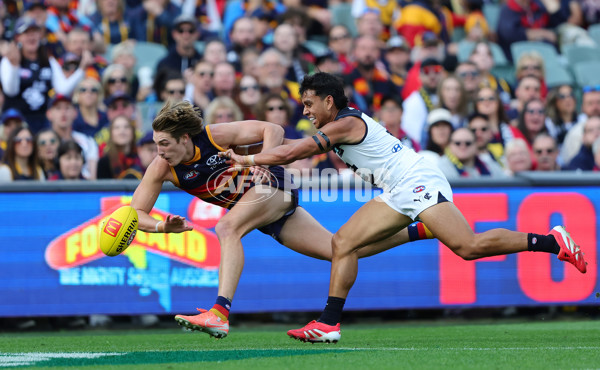 AFL 2025 Round 08 - Adelaide v Carlton - A-59152014