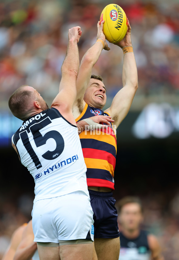 AFL 2025 Round 08 - Adelaide v Carlton - A-59152024