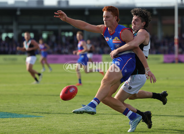 AFL 2025 Round 08 - Western Bulldogs v Port Adelaide - A-59152042