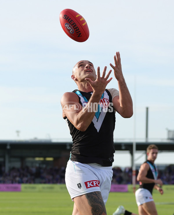 AFL 2025 Round 08 - Western Bulldogs v Port Adelaide - A-59152046