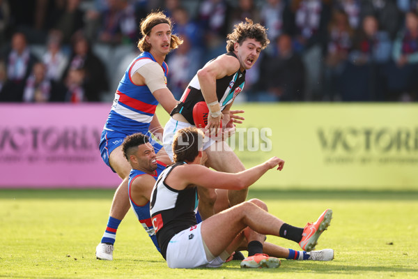 AFL 2025 Round 08 - Western Bulldogs v Port Adelaide - A-59152050