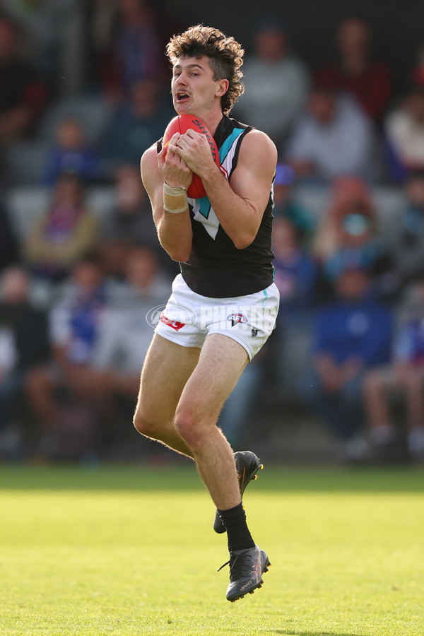 AFL 2025 Round 08 - Western Bulldogs v Port Adelaide - A-59152051