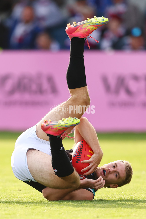 AFL 2025 Round 08 - Western Bulldogs v Port Adelaide - A-59152052