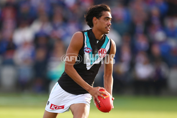 AFL 2025 Round 08 - Western Bulldogs v Port Adelaide - A-59152053