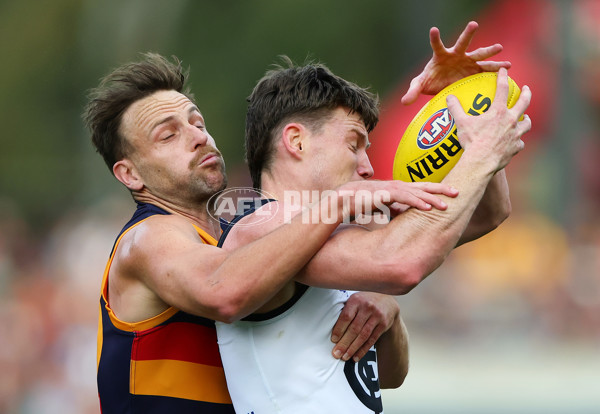 AFL 2025 Round 08 - Adelaide v Carlton - A-59152057