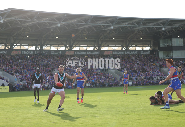 AFL 2025 Round 08 - Western Bulldogs v Port Adelaide - A-59152062