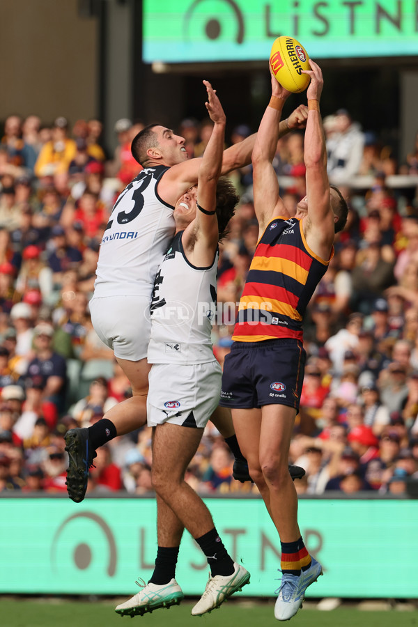 AFL 2025 Round 08 - Adelaide v Carlton - A-59153183