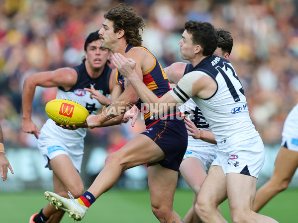 AFL 2025 Round 08 - Adelaide v Carlton - A-59153198