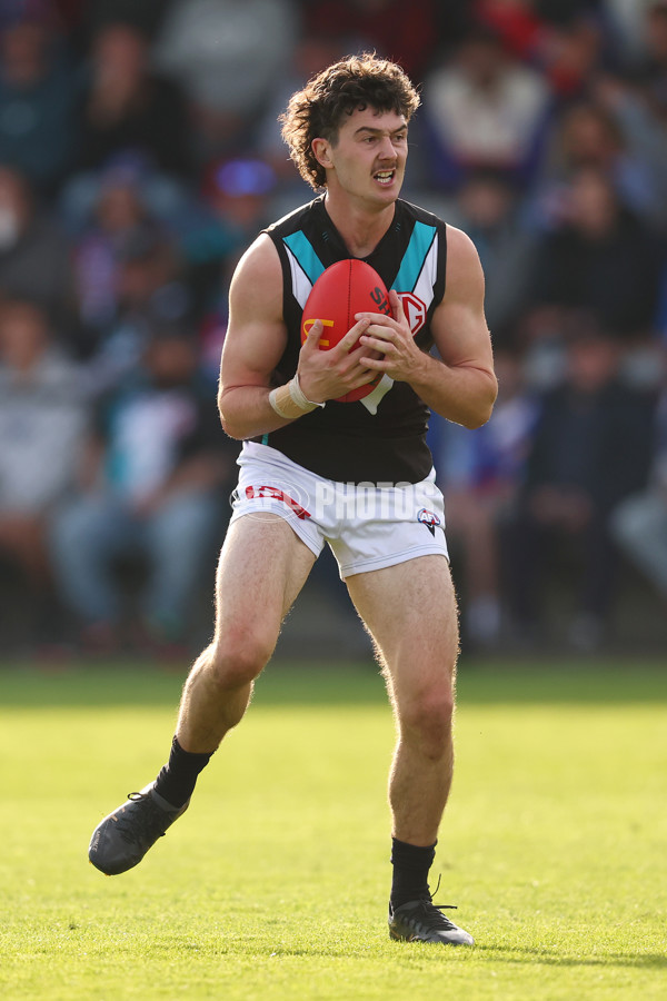 AFL 2025 Round 08 - Western Bulldogs v Port Adelaide - A-59153201