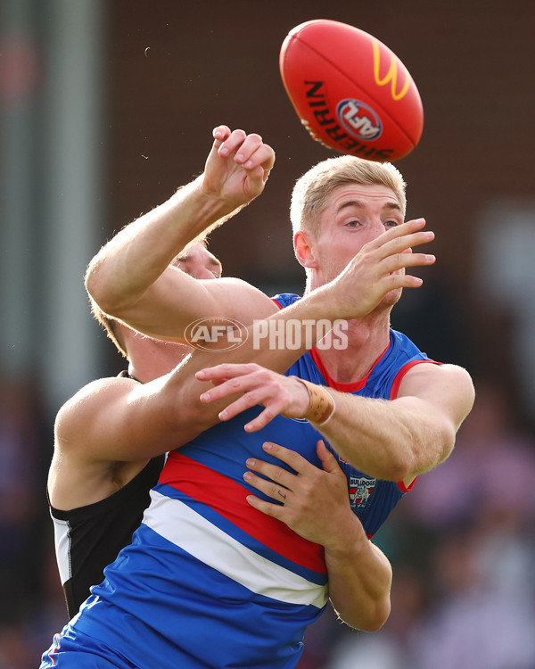 AFL 2025 Round 08 - Western Bulldogs v Port Adelaide - A-59153211
