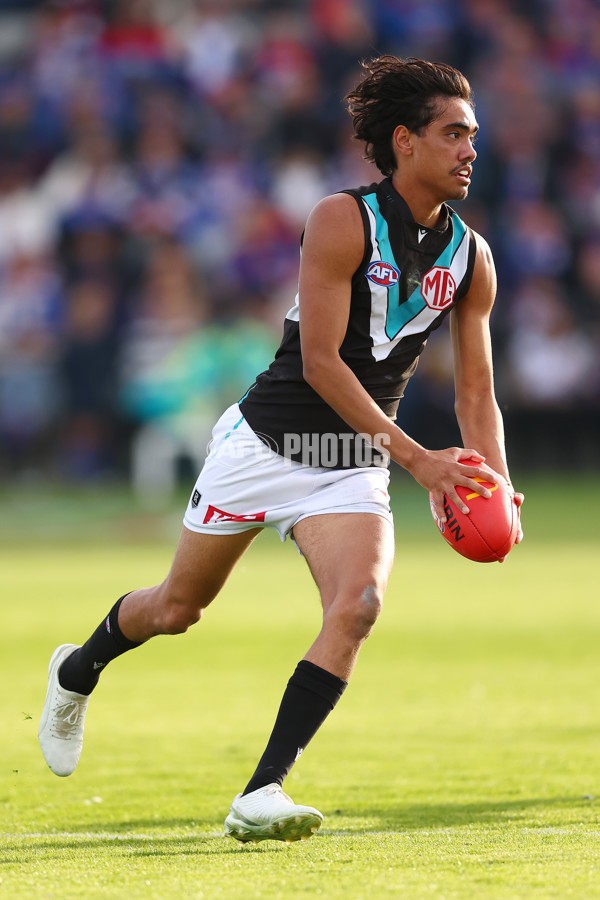 AFL 2025 Round 08 - Western Bulldogs v Port Adelaide - A-59153214