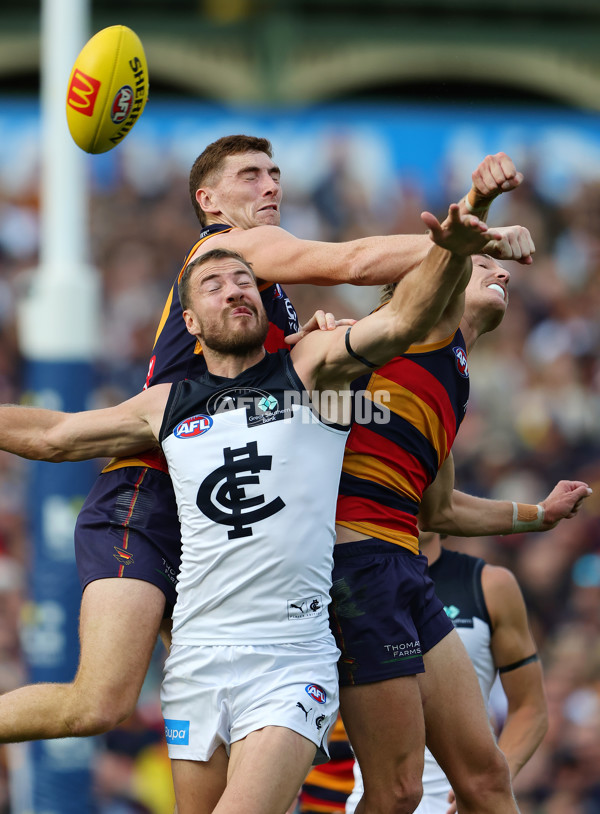 AFL 2025 Round 08 - Adelaide v Carlton - A-59153220