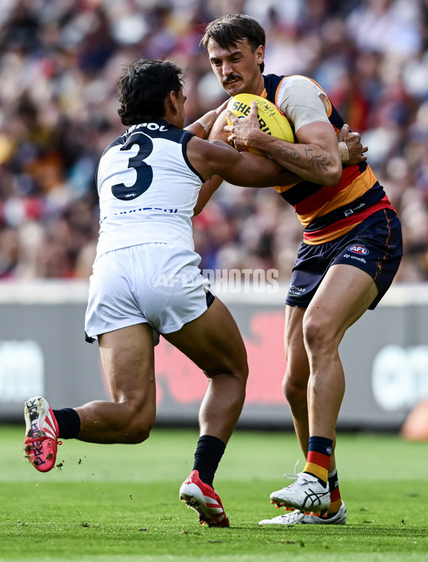 AFL 2025 Round 08 - Adelaide v Carlton - A-59153222