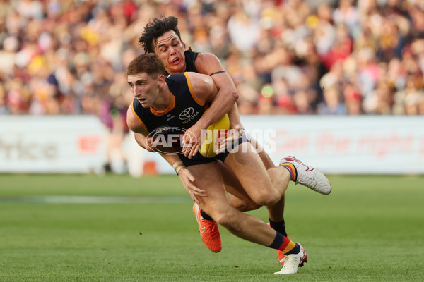 AFL 2025 Round 08 - Adelaide v Carlton - A-59153244