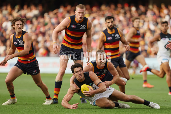 AFL 2025 Round 08 - Adelaide v Carlton - A-59153248